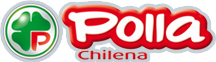 xperto-chile.net